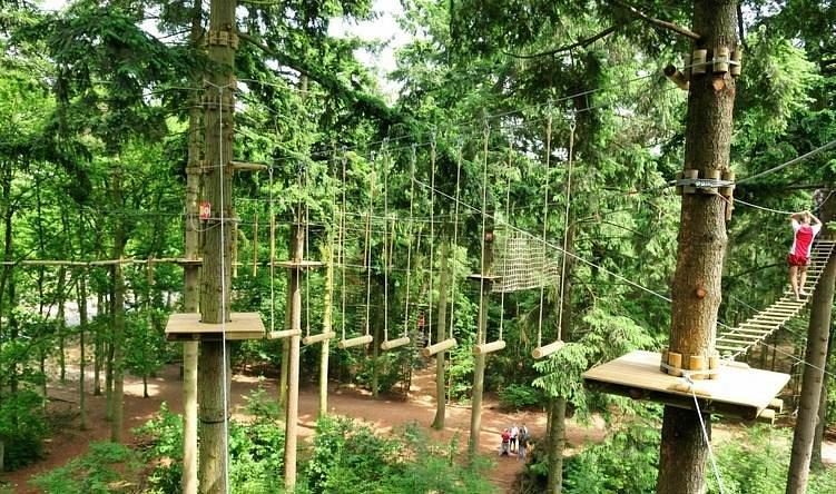 Climbing forest Achterhoek