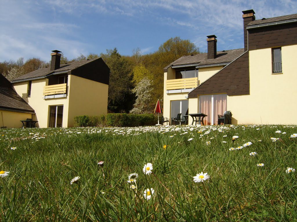 Ferienhaus Rheinland-Pfalz