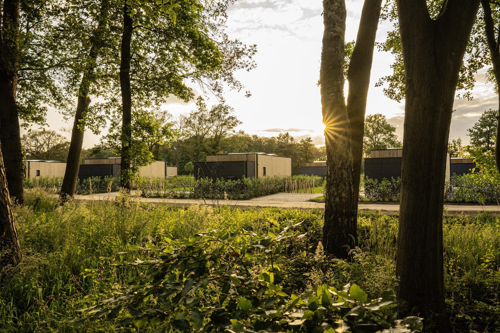 Natuurhuisje Twente