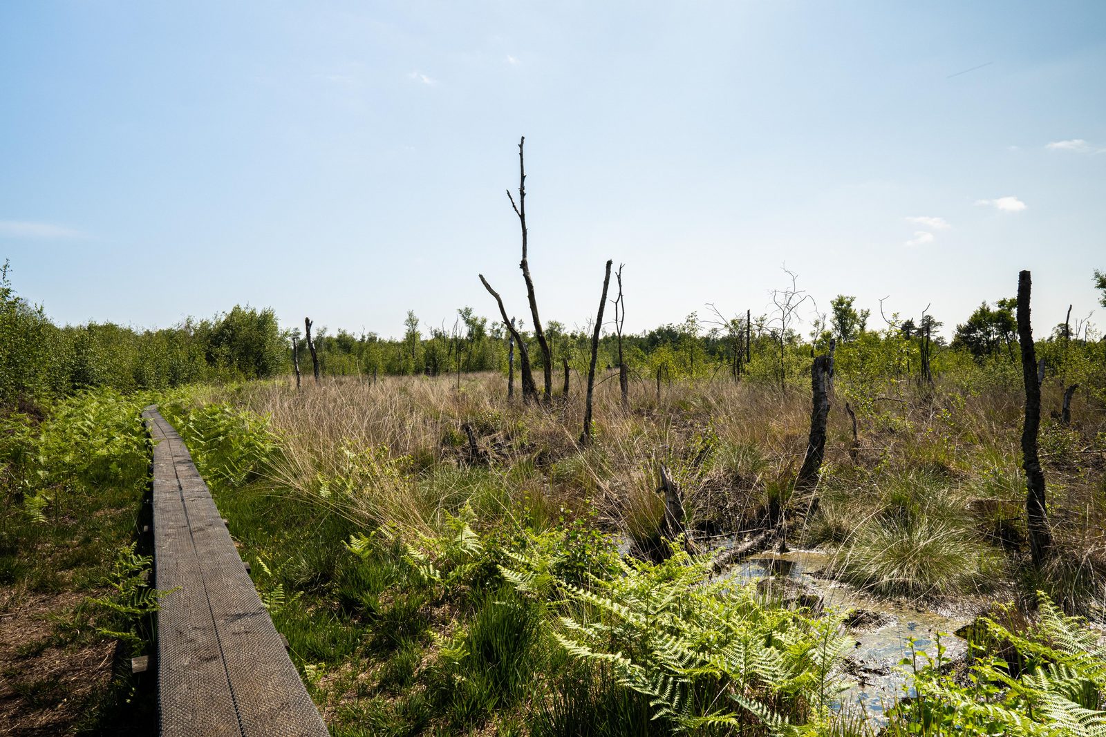 Omgeving van Winterswijk