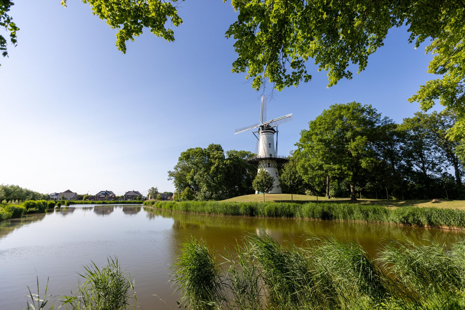 Molen Tholen