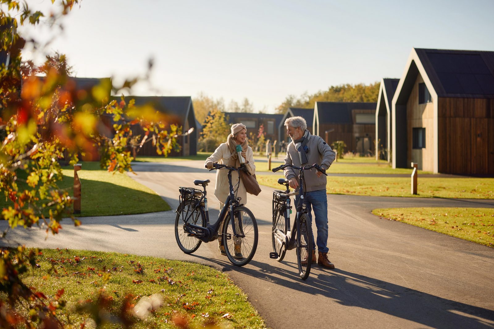 Cycling holiday in Friesland