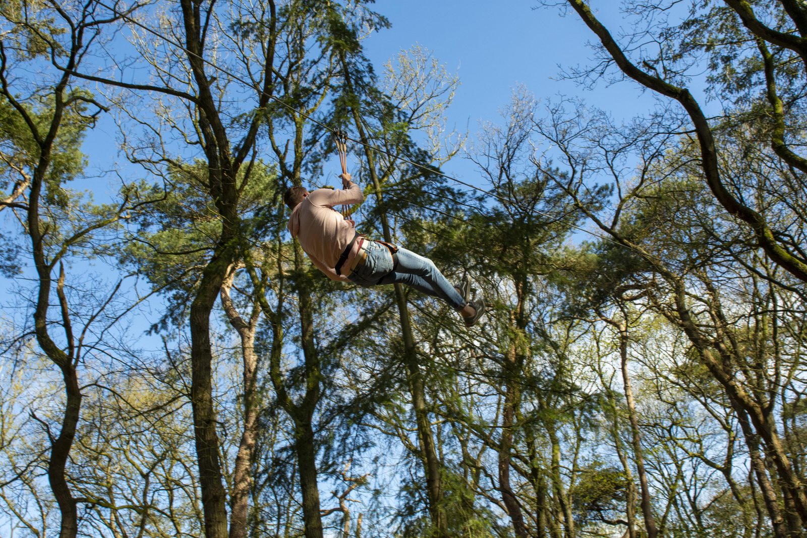 Climbing forest  | Hup de boom in!