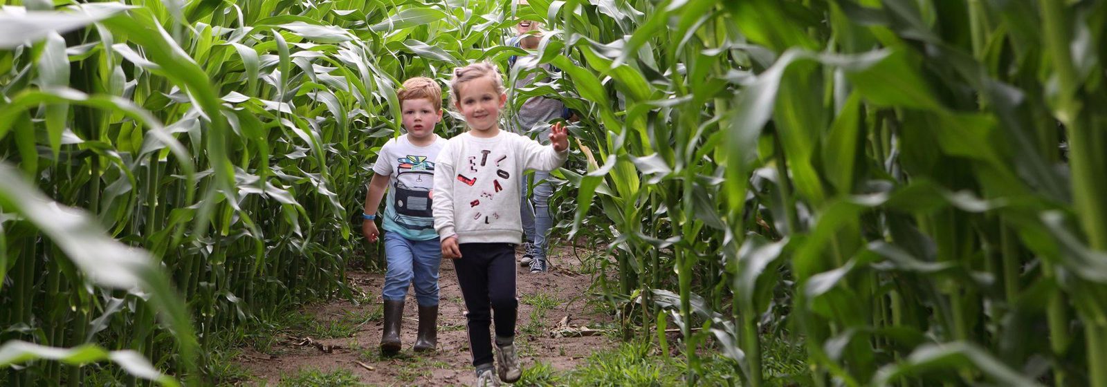 Sallands Maïsdoolhof en Boer'n Xpeditie