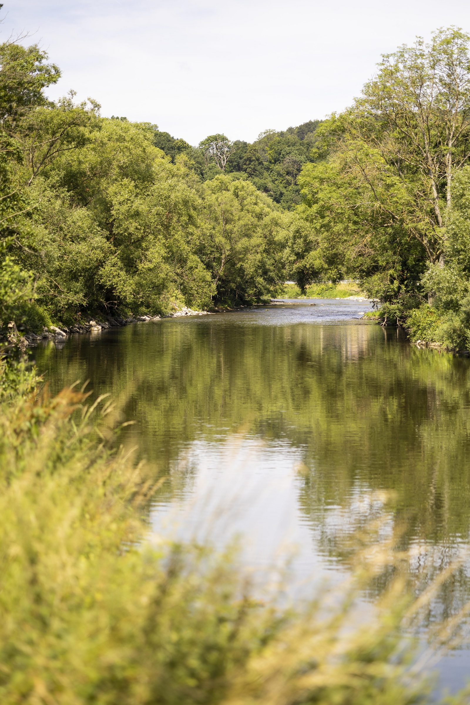 At the water's edge, in the heart of nature!