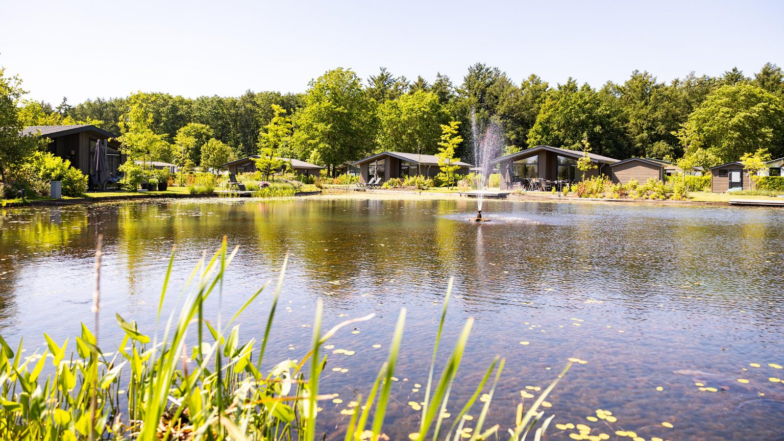 Ontdek Vakantiepark Molenvelden