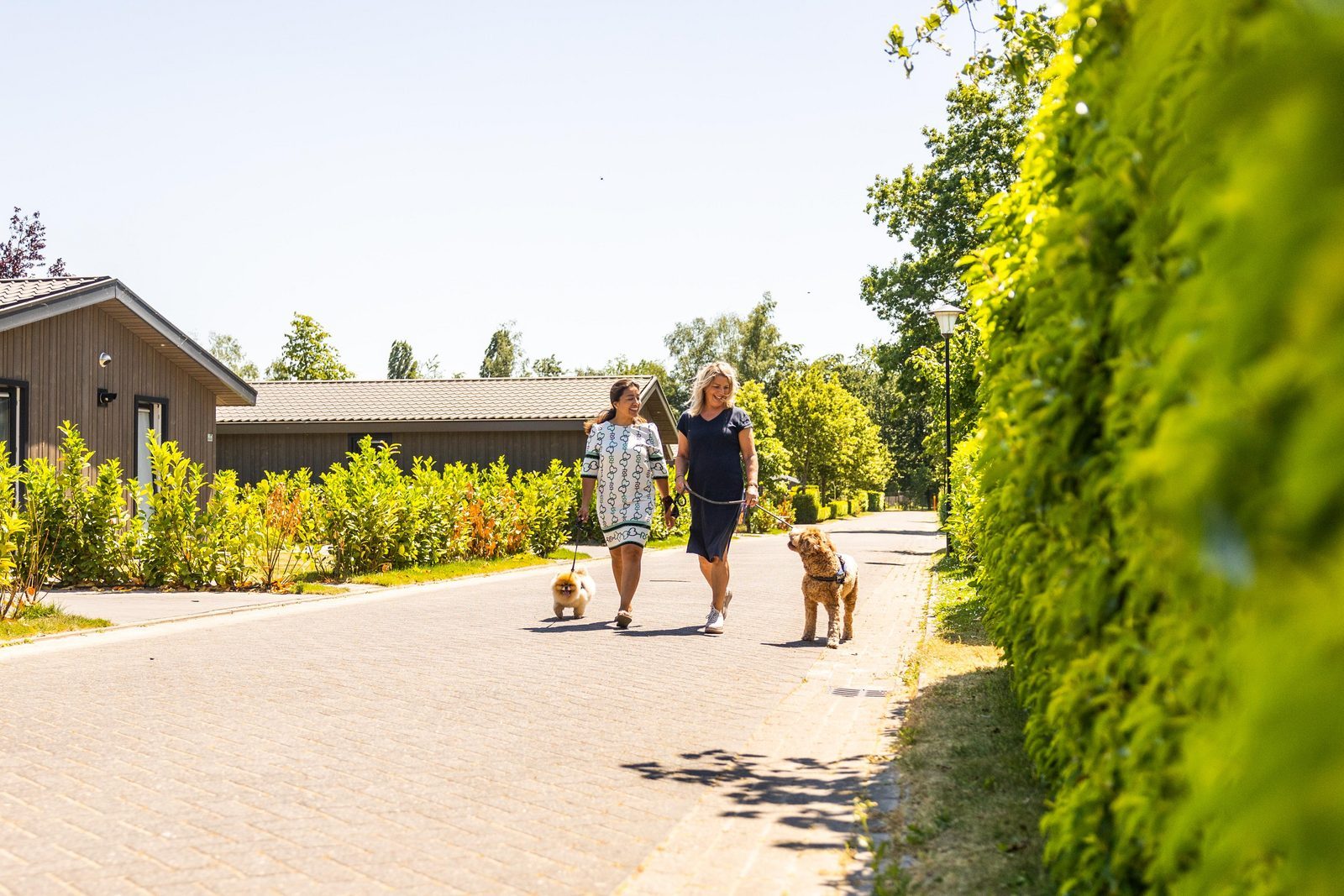 Wandelen in Brabant