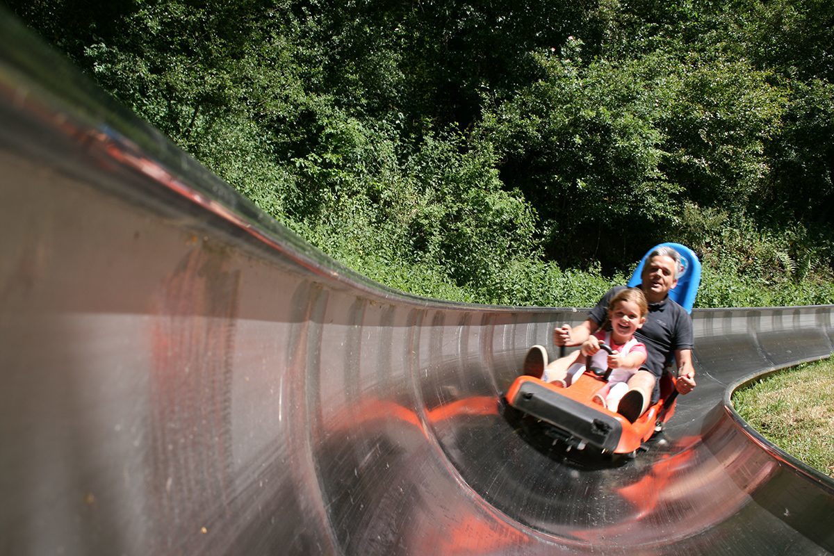 Summer Toboggan Run Peterberg