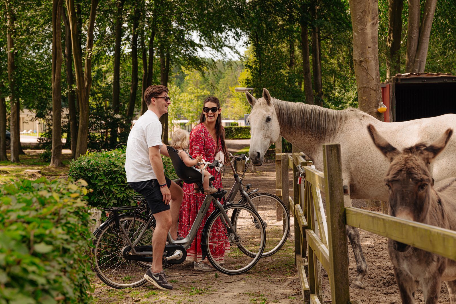 Zomervakantie Flevoland