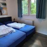 Heidebloem nr 620