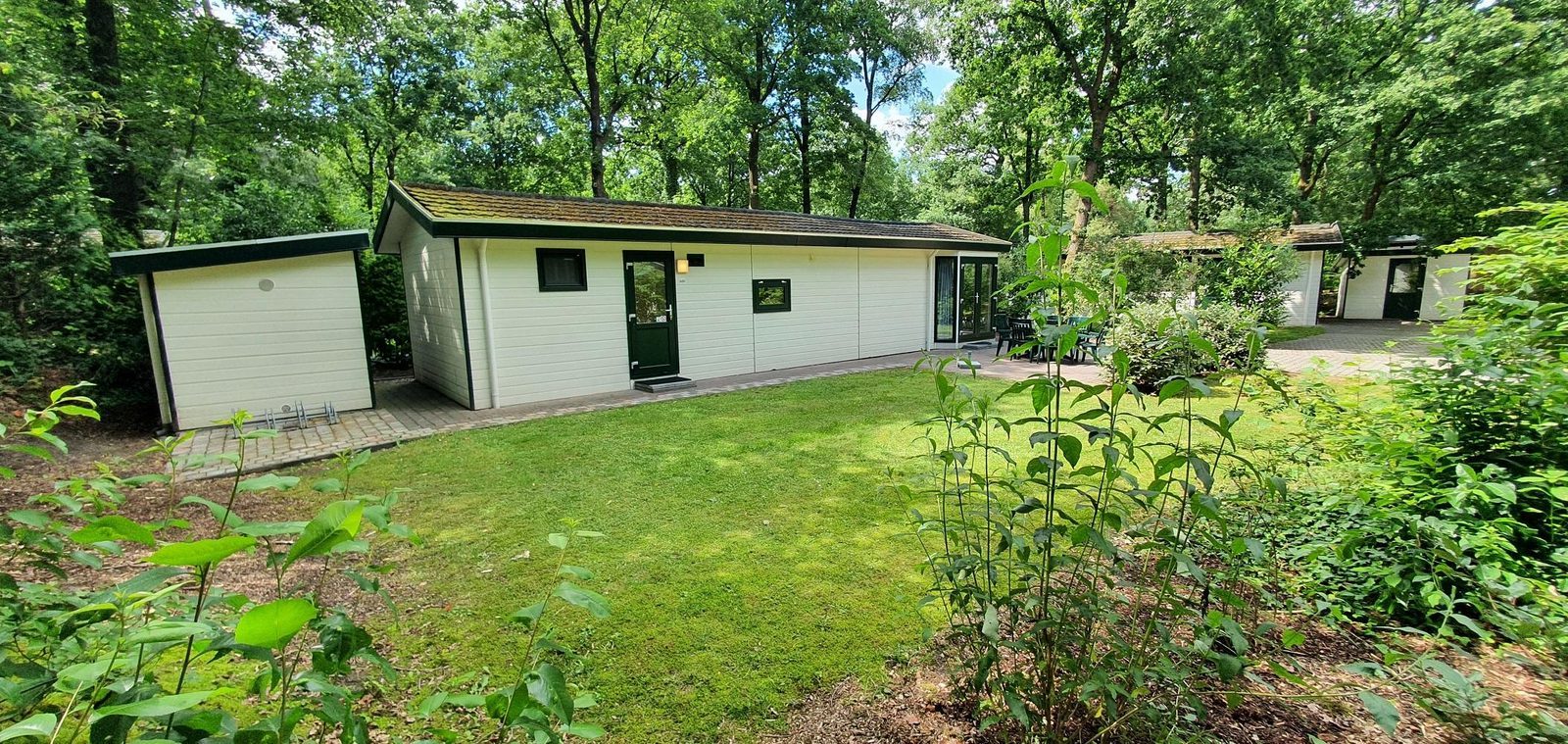 Heidebloem nr 620