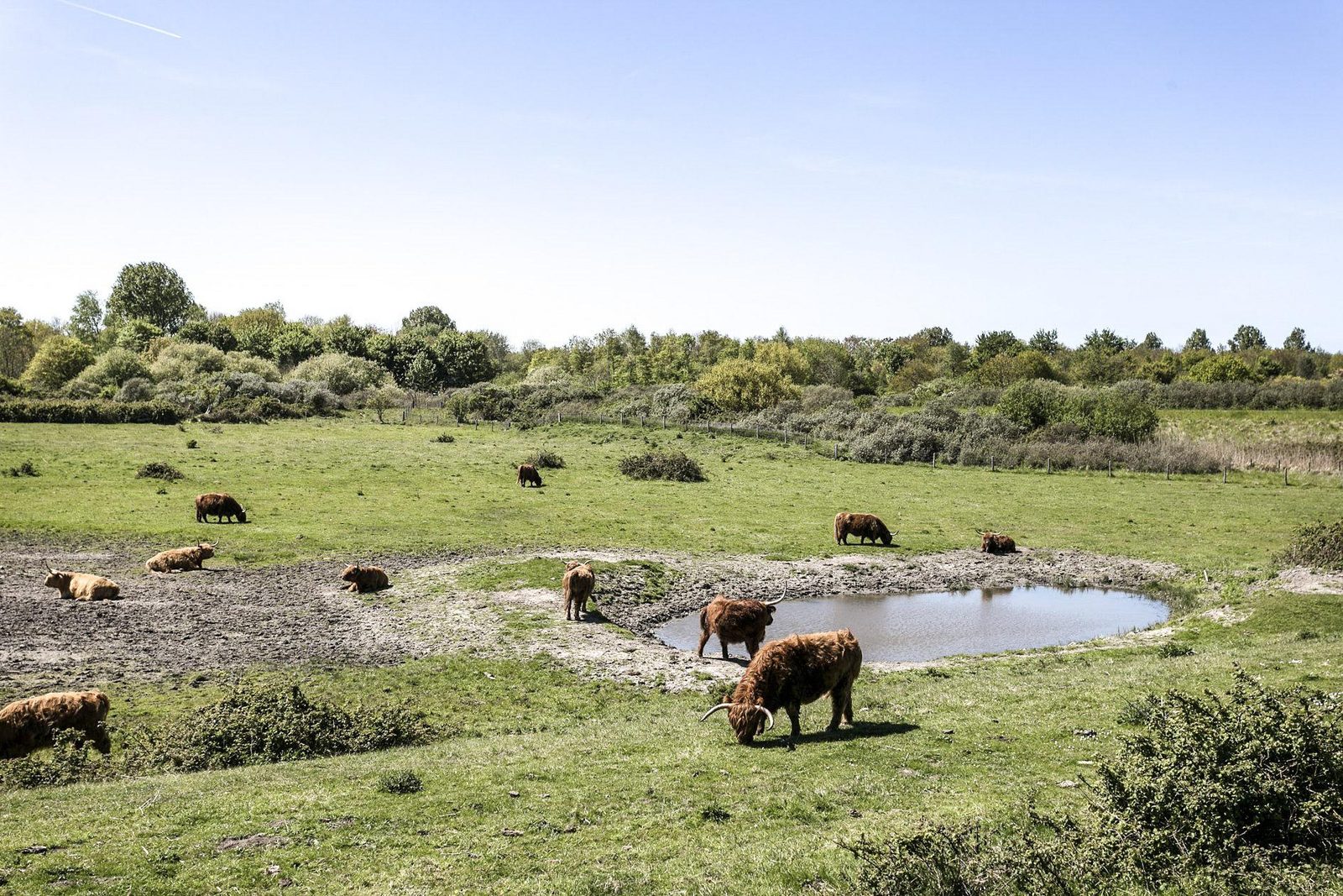 Nature walk Zeeland