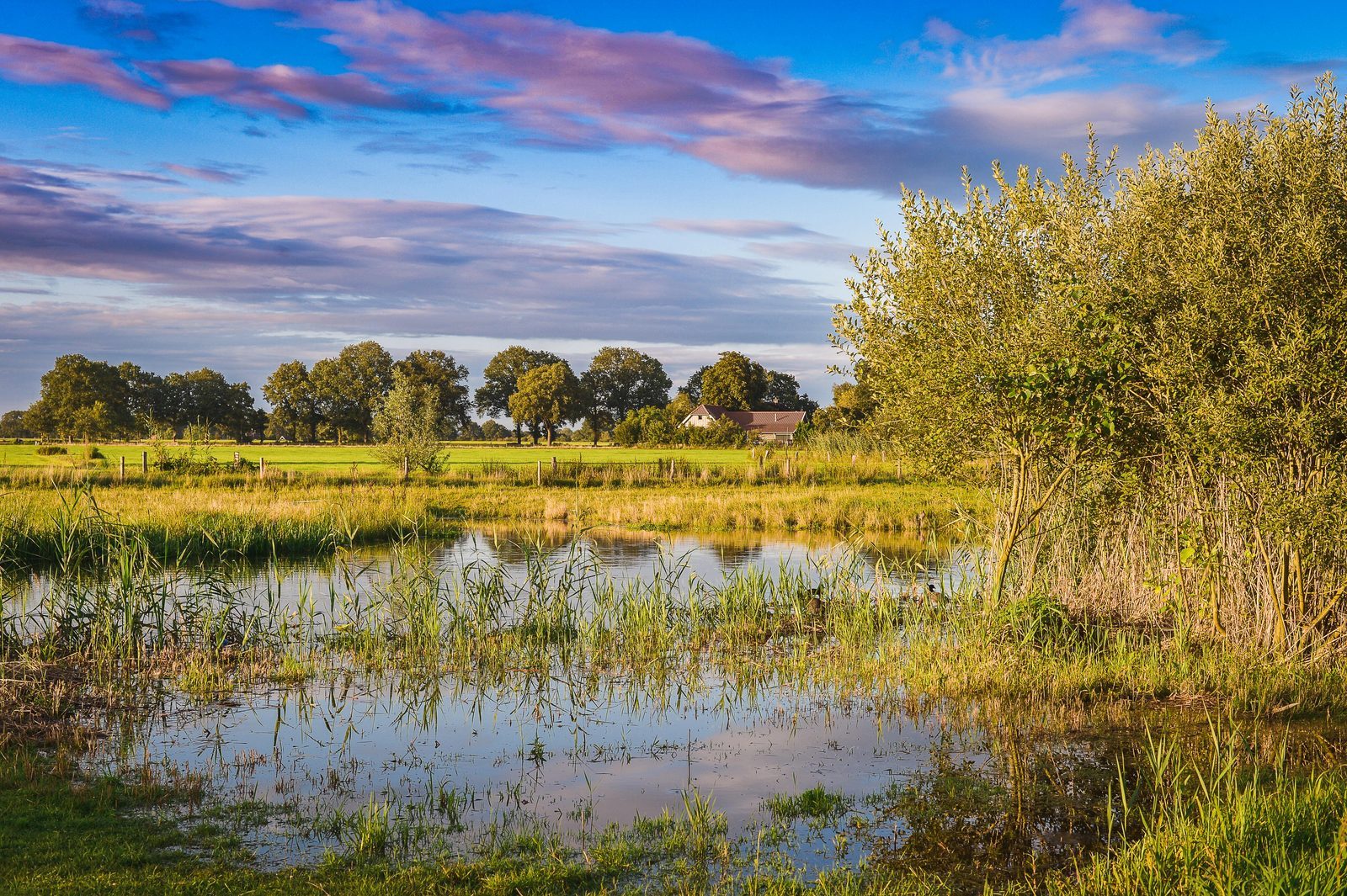 Omgeving Overijssel