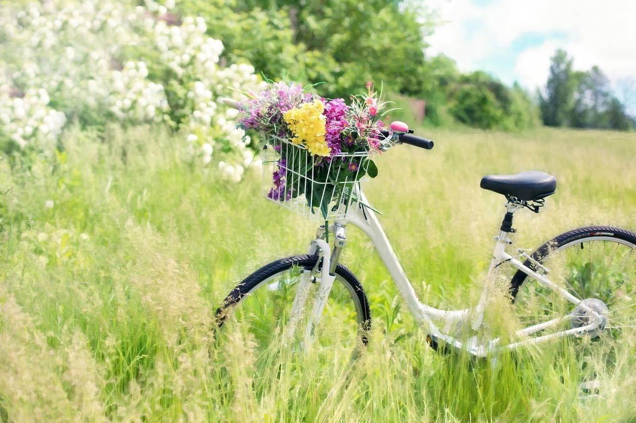 Verhuur elektrische fietsen