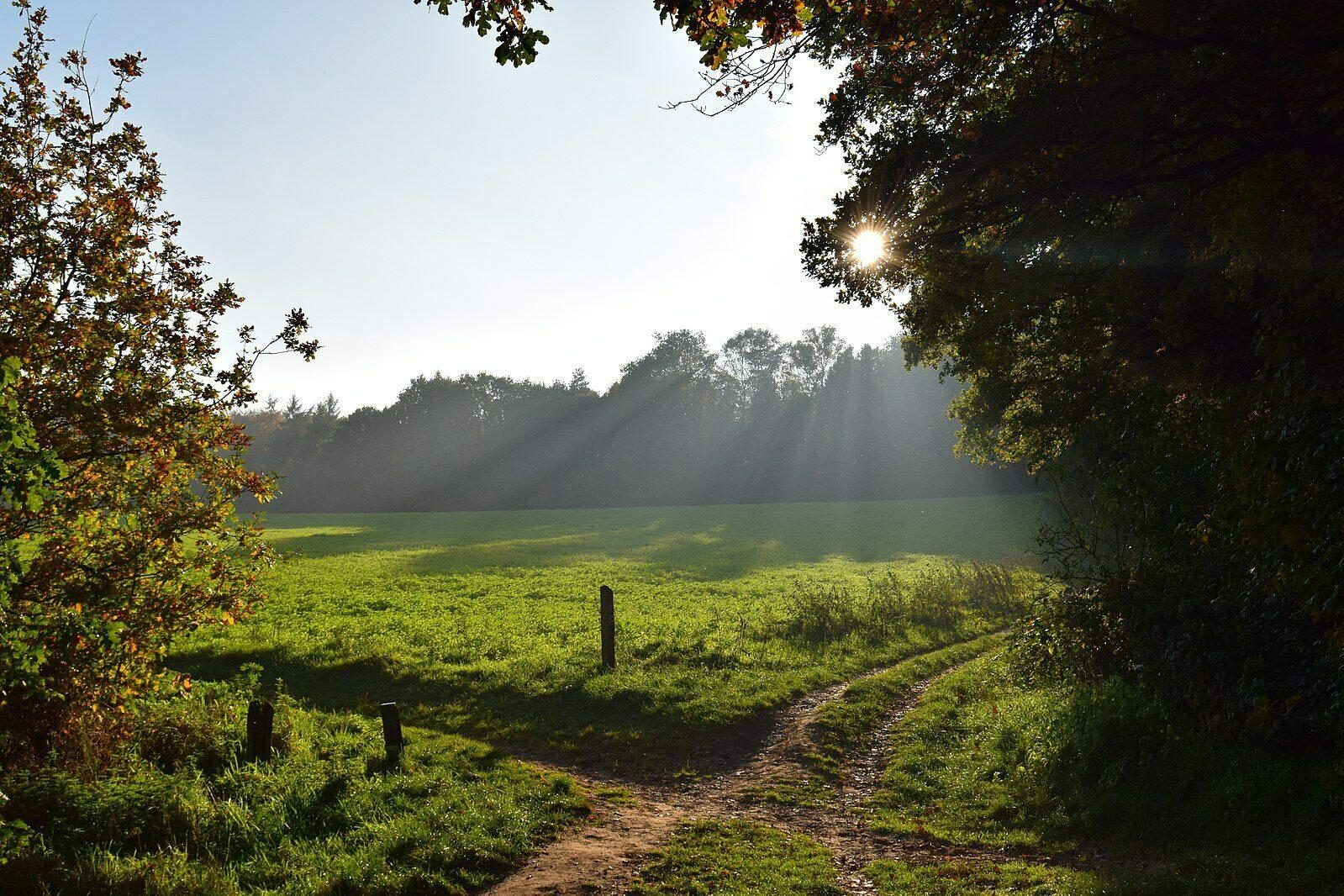 Hiking