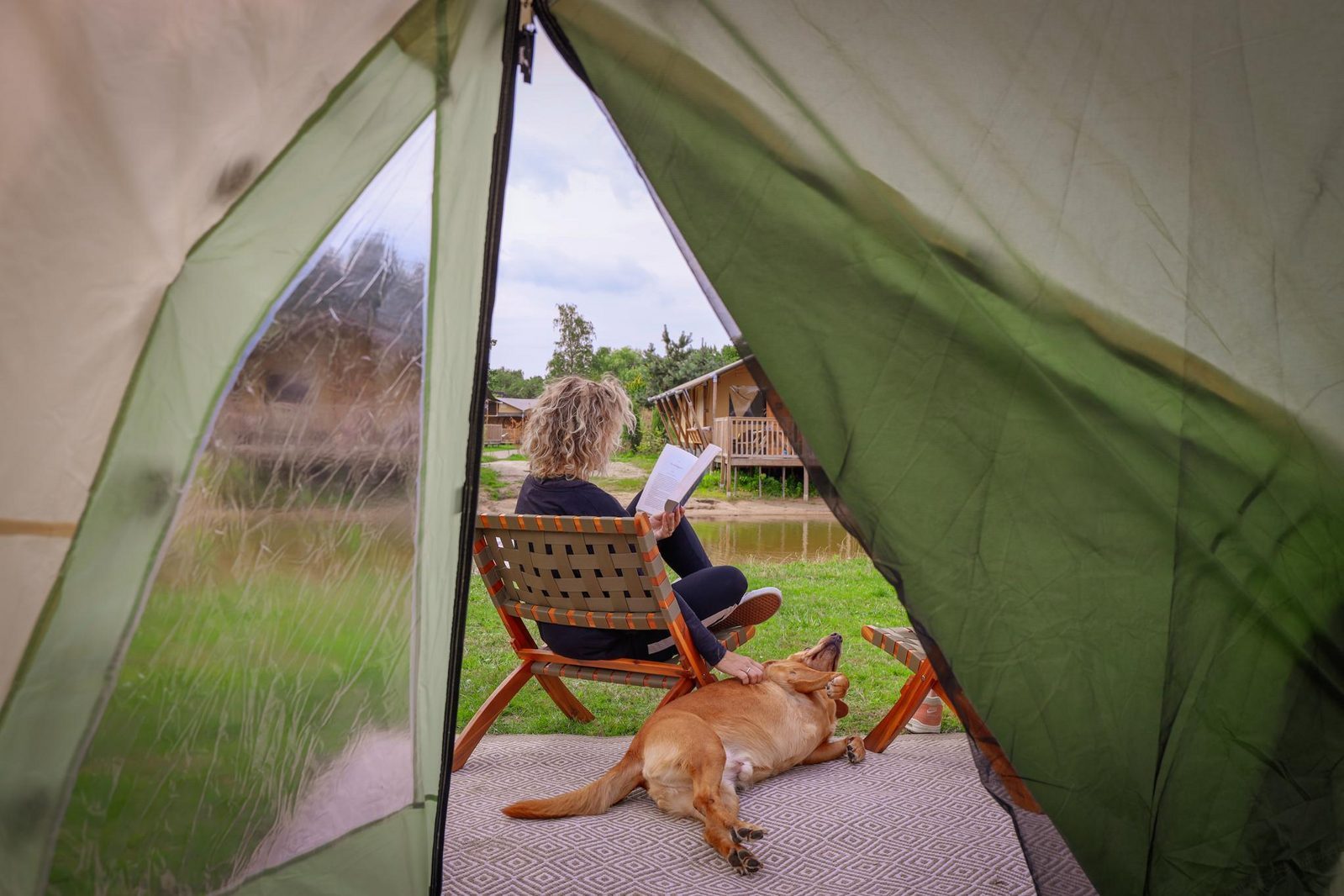 Vacation in the Netherlands with a dog