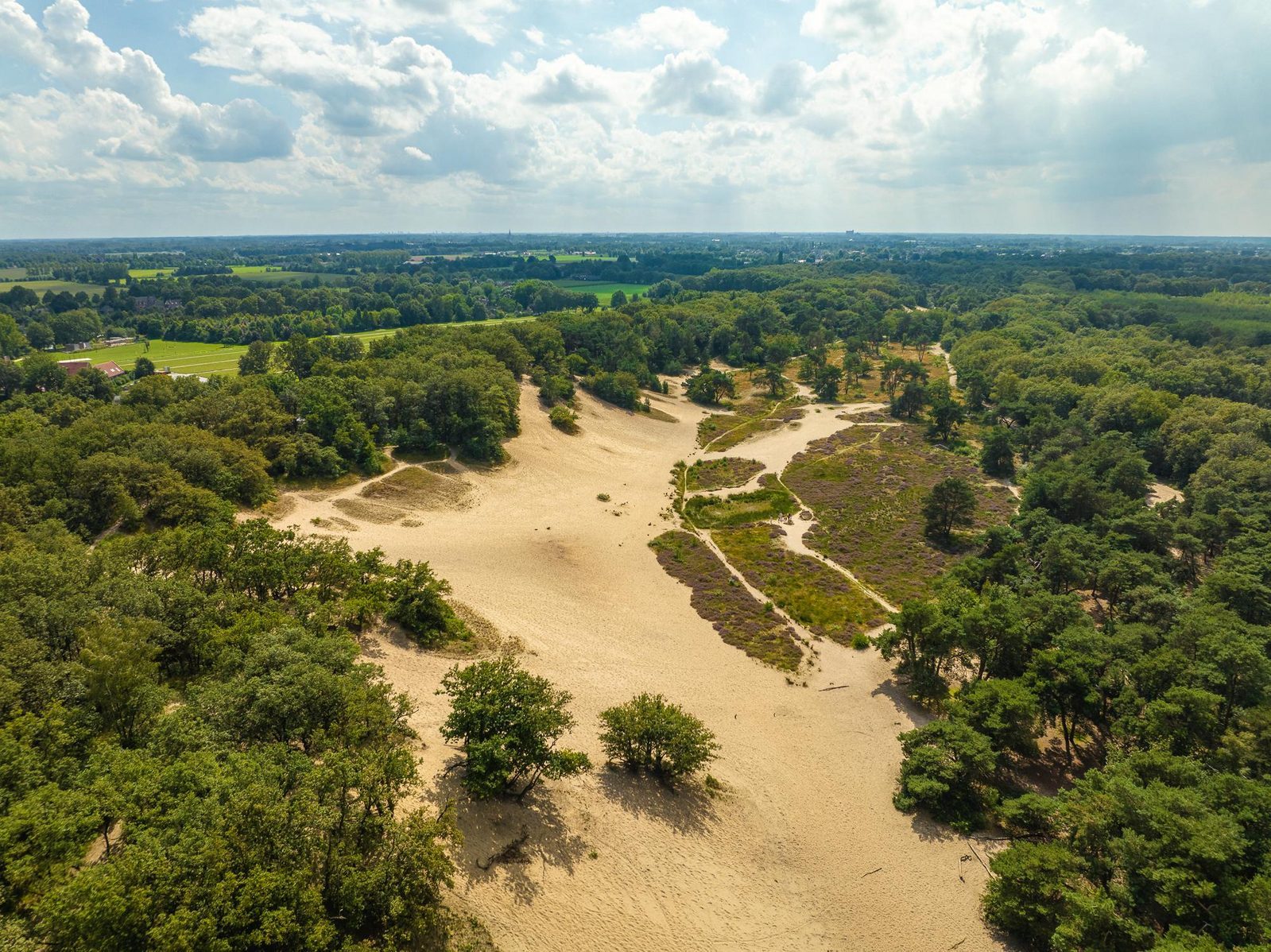 Contact Vakantiepark Sandberghe