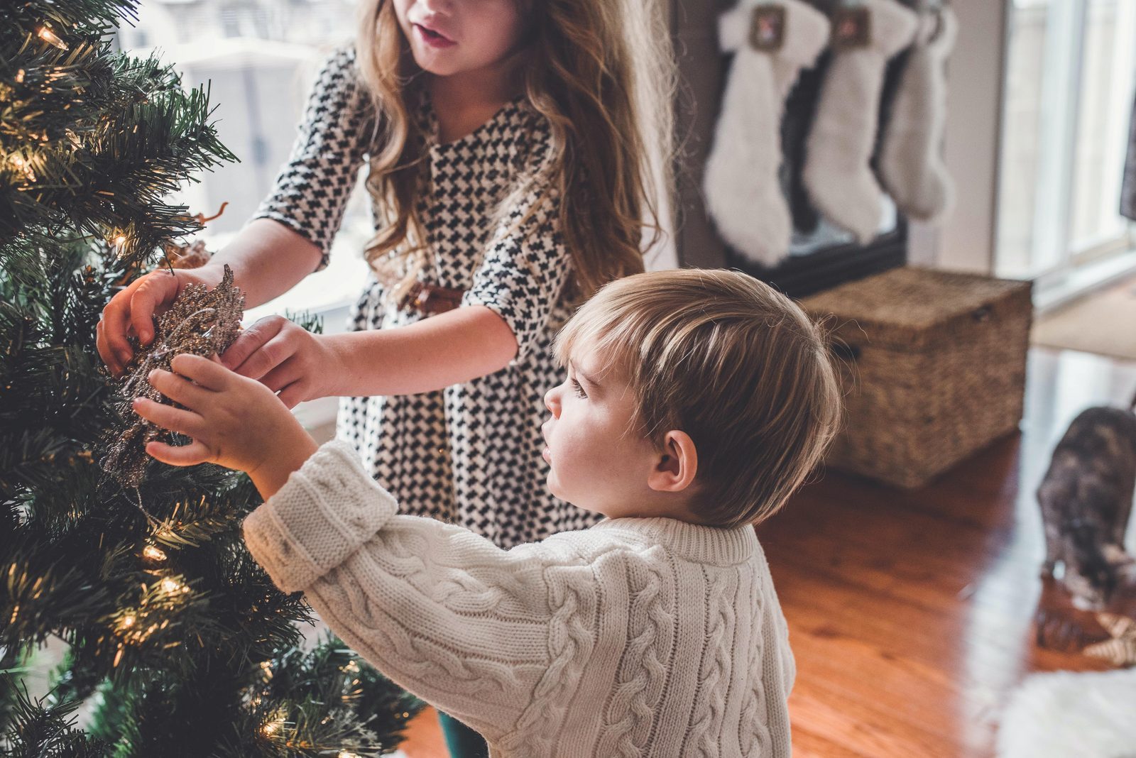 christmas holiday in the Netherlands