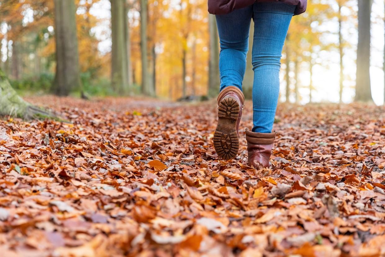 Hiking autumn