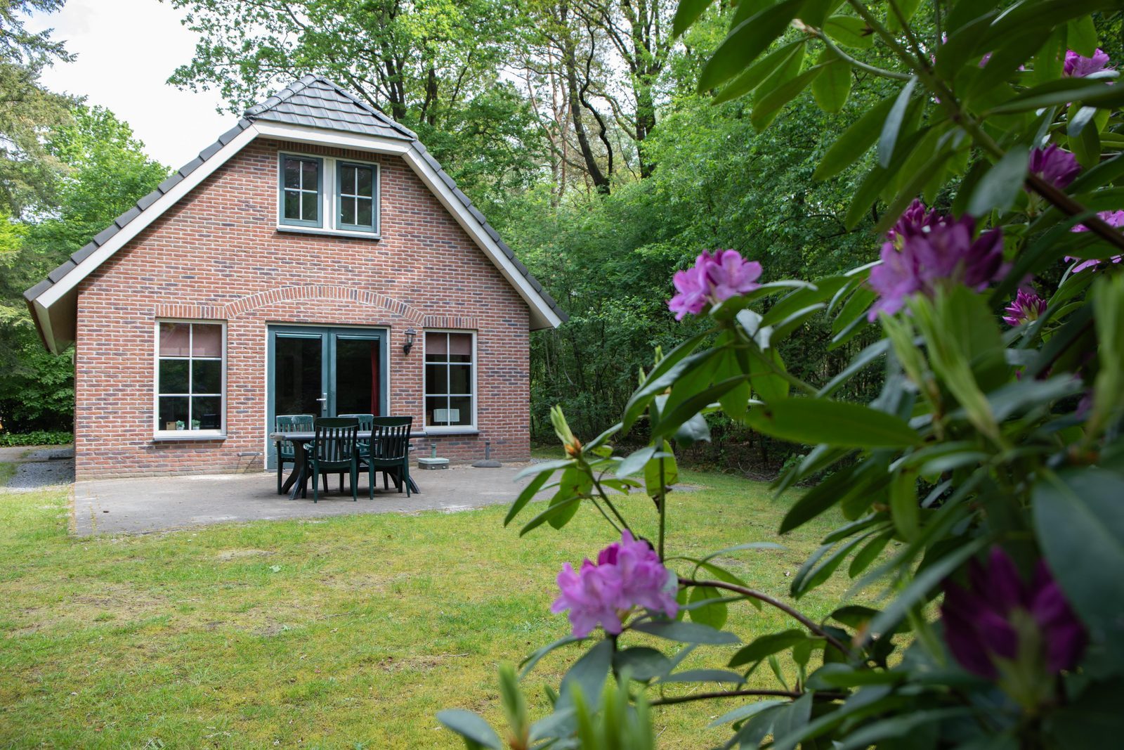 Wellness-Ferienhaus Holland 