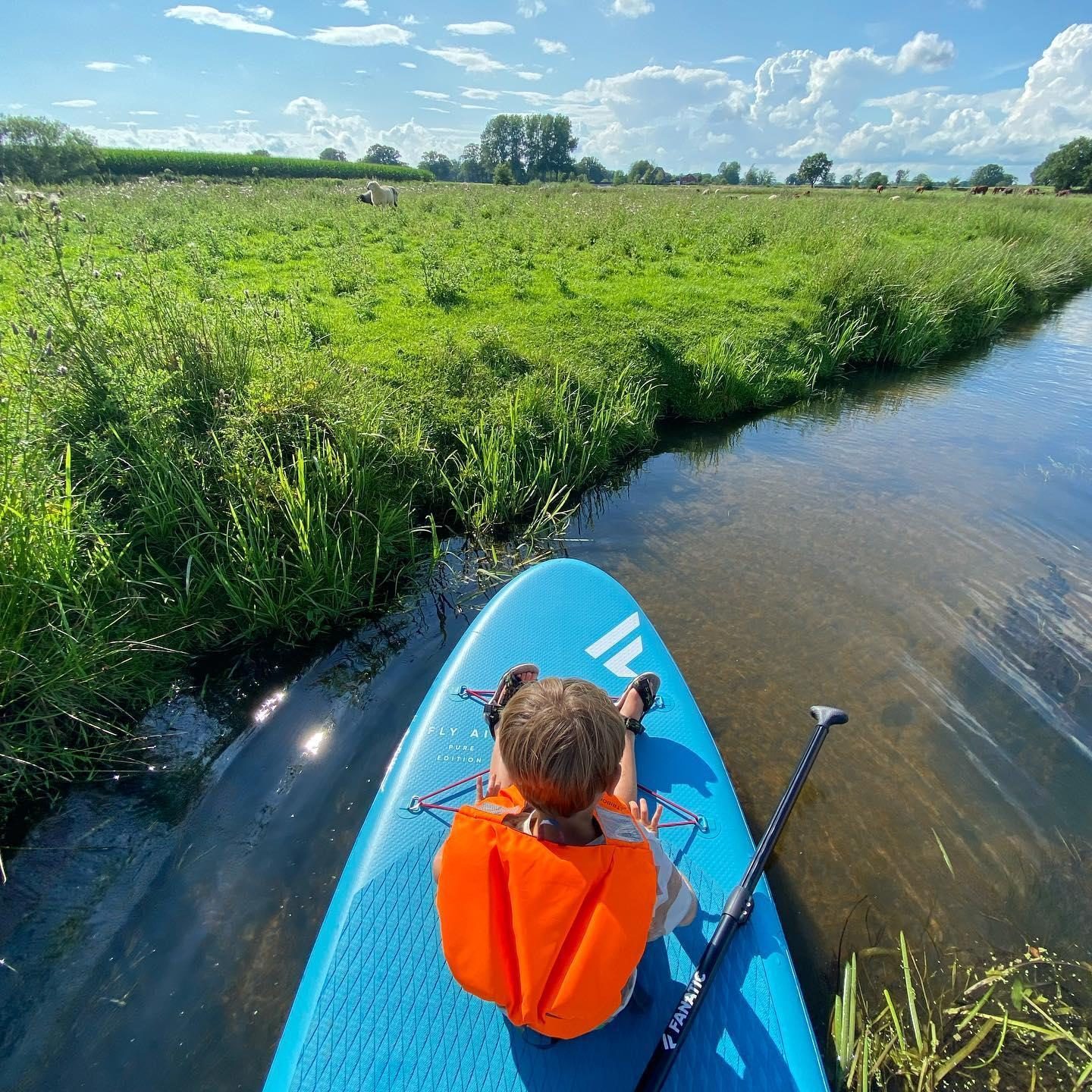 Activiteiten Mölke