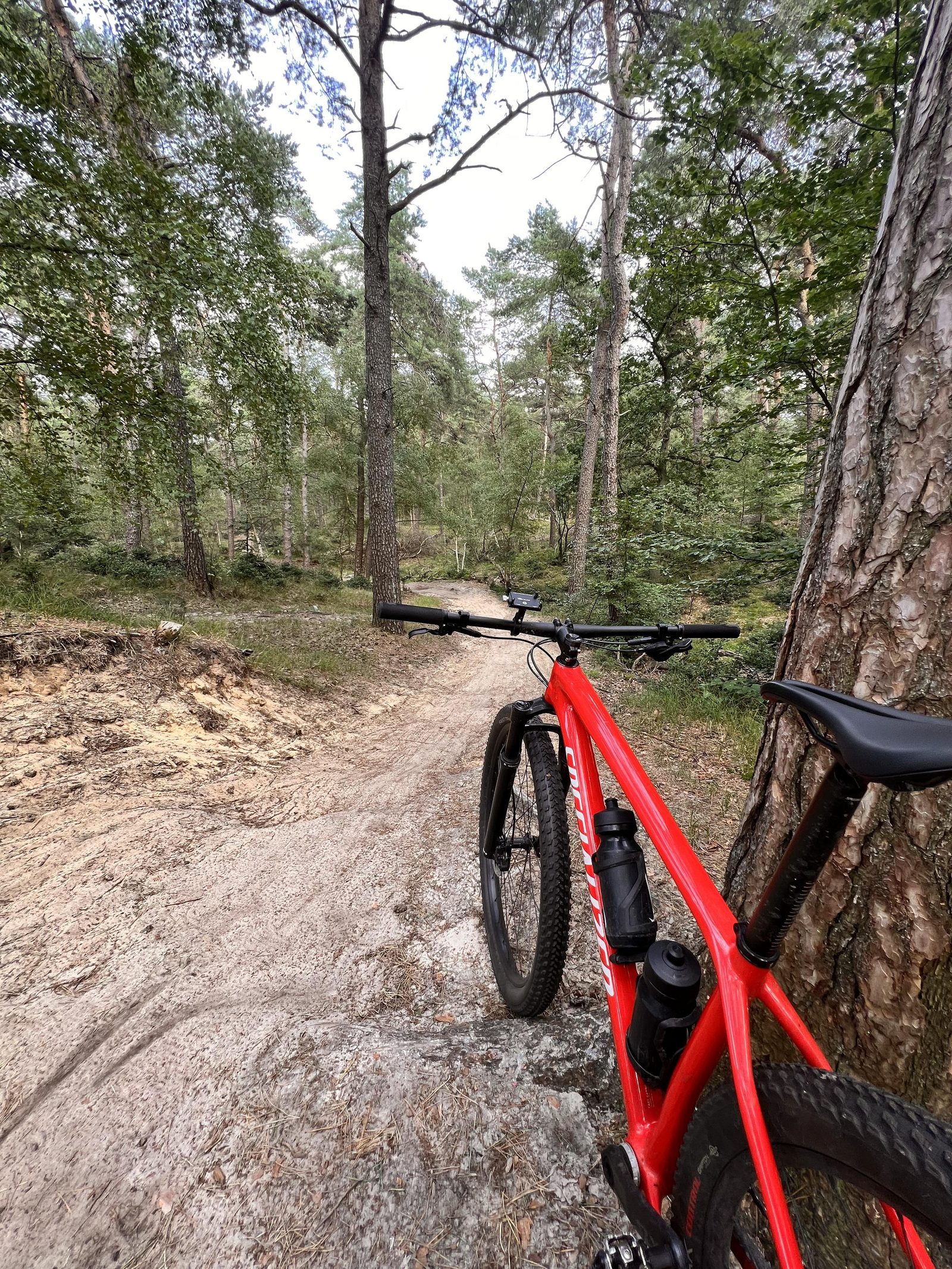 The most beautiful mountain bike routes on the Veluwe