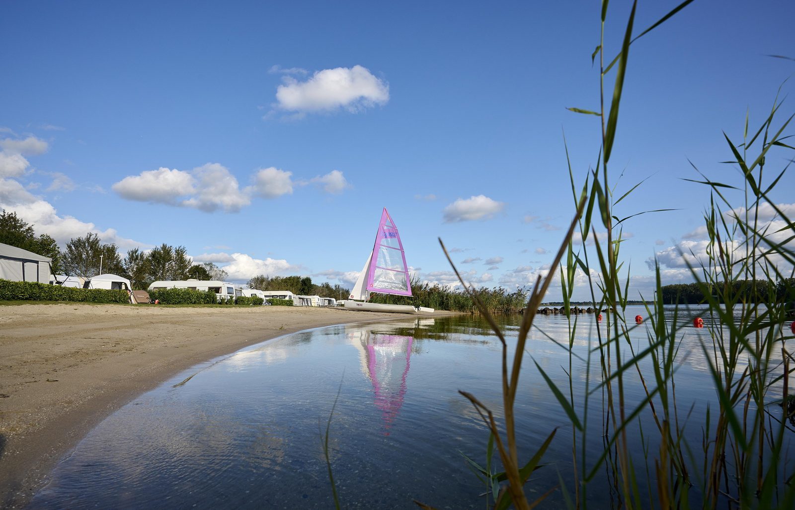 Windsurfen Nederland