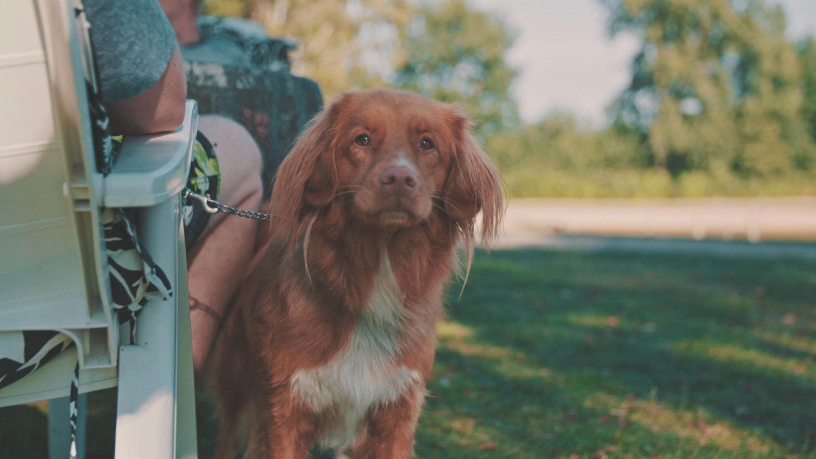 Ginsterveld vakantieparken voor peuters en kleuters