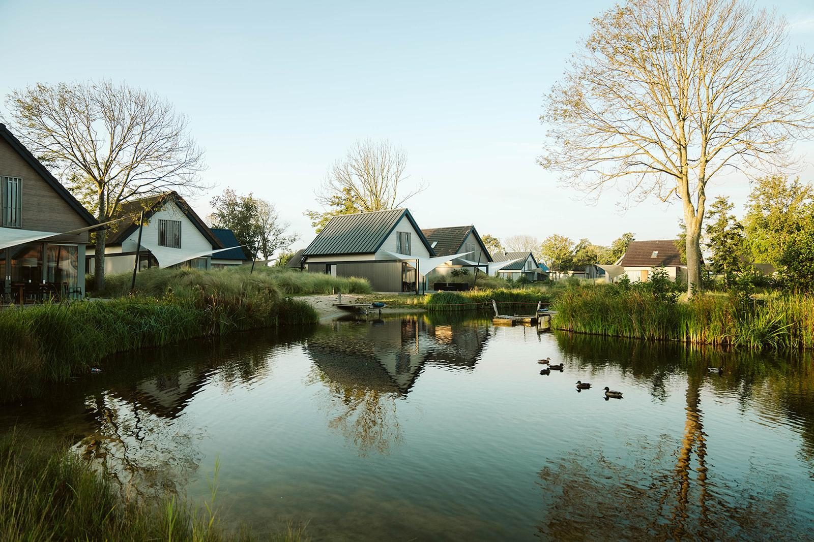 Ridderstee Ouddorp Duin