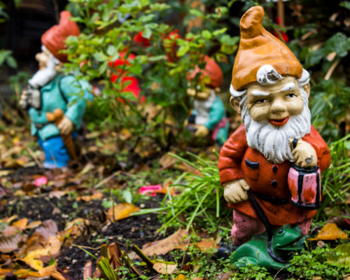 Gnome walk