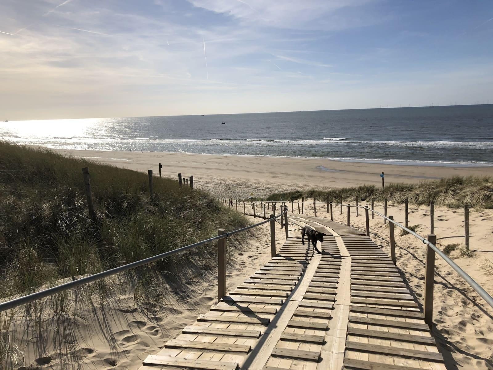 vakantiehuis egmond