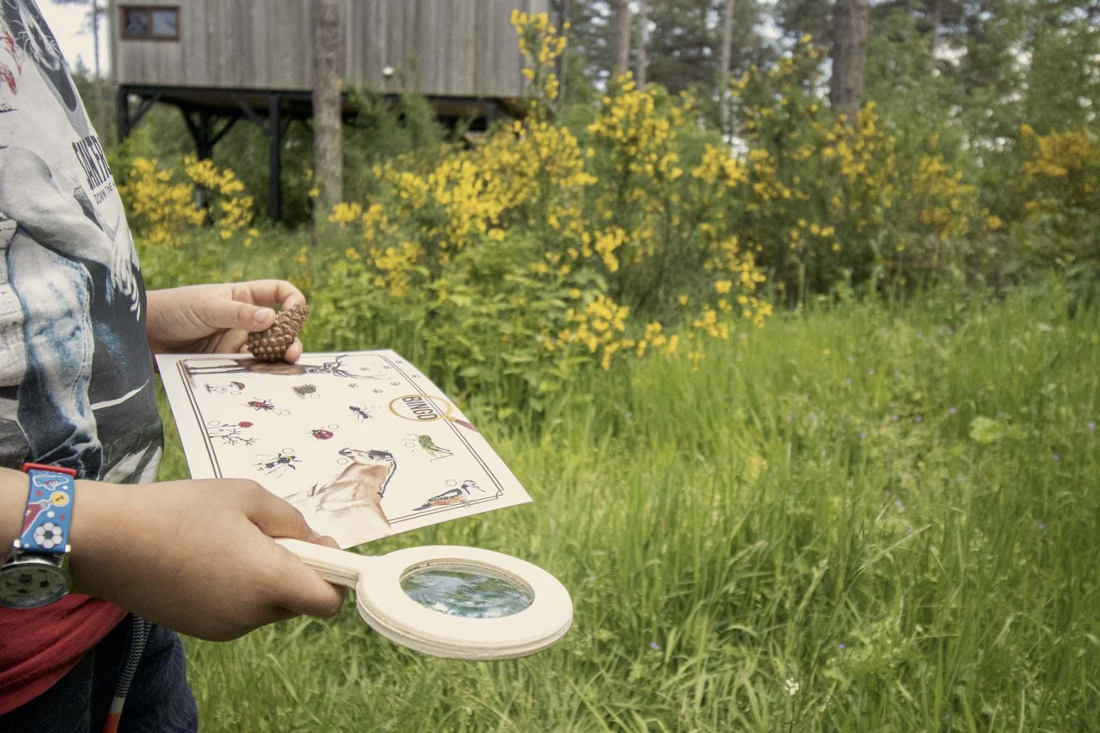 Natuurwandelingen