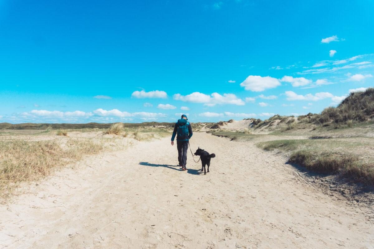 Wandelen met de hond