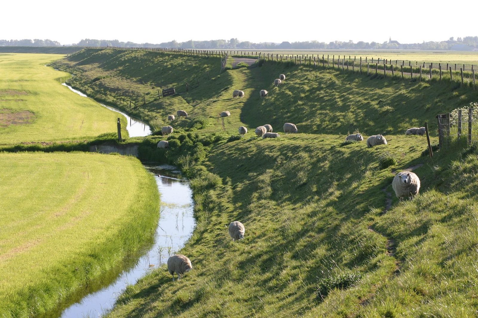 Omgeving