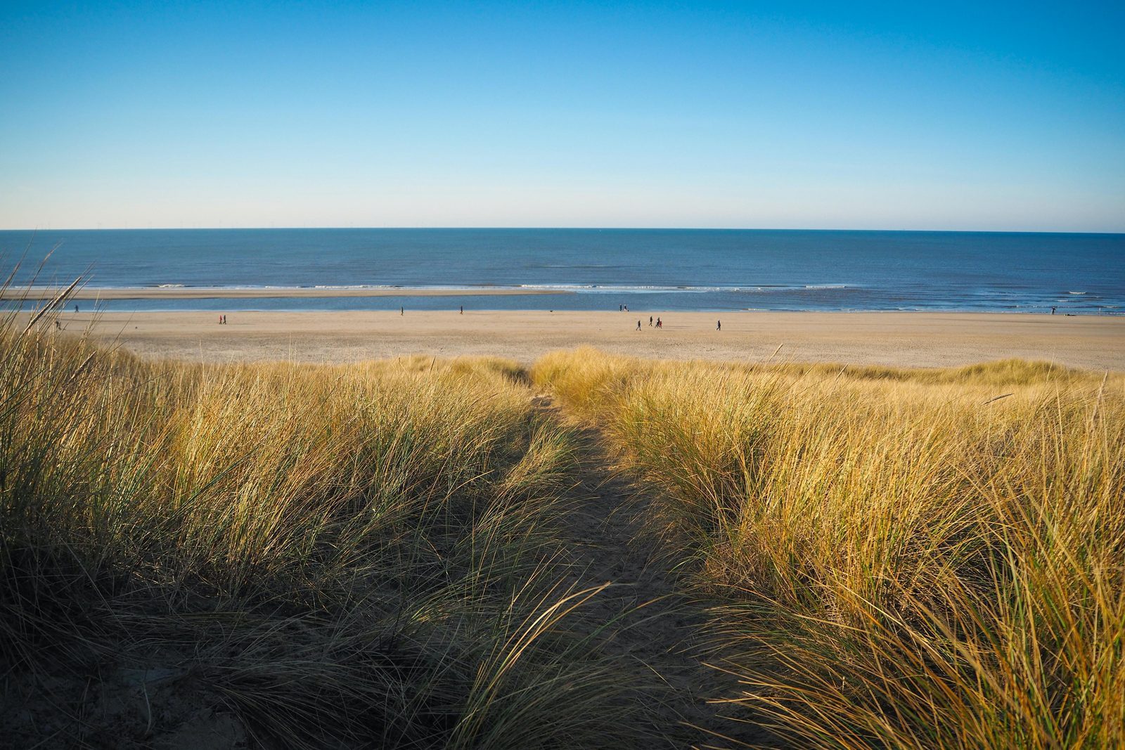 Vakantiehuis Noordzeekust