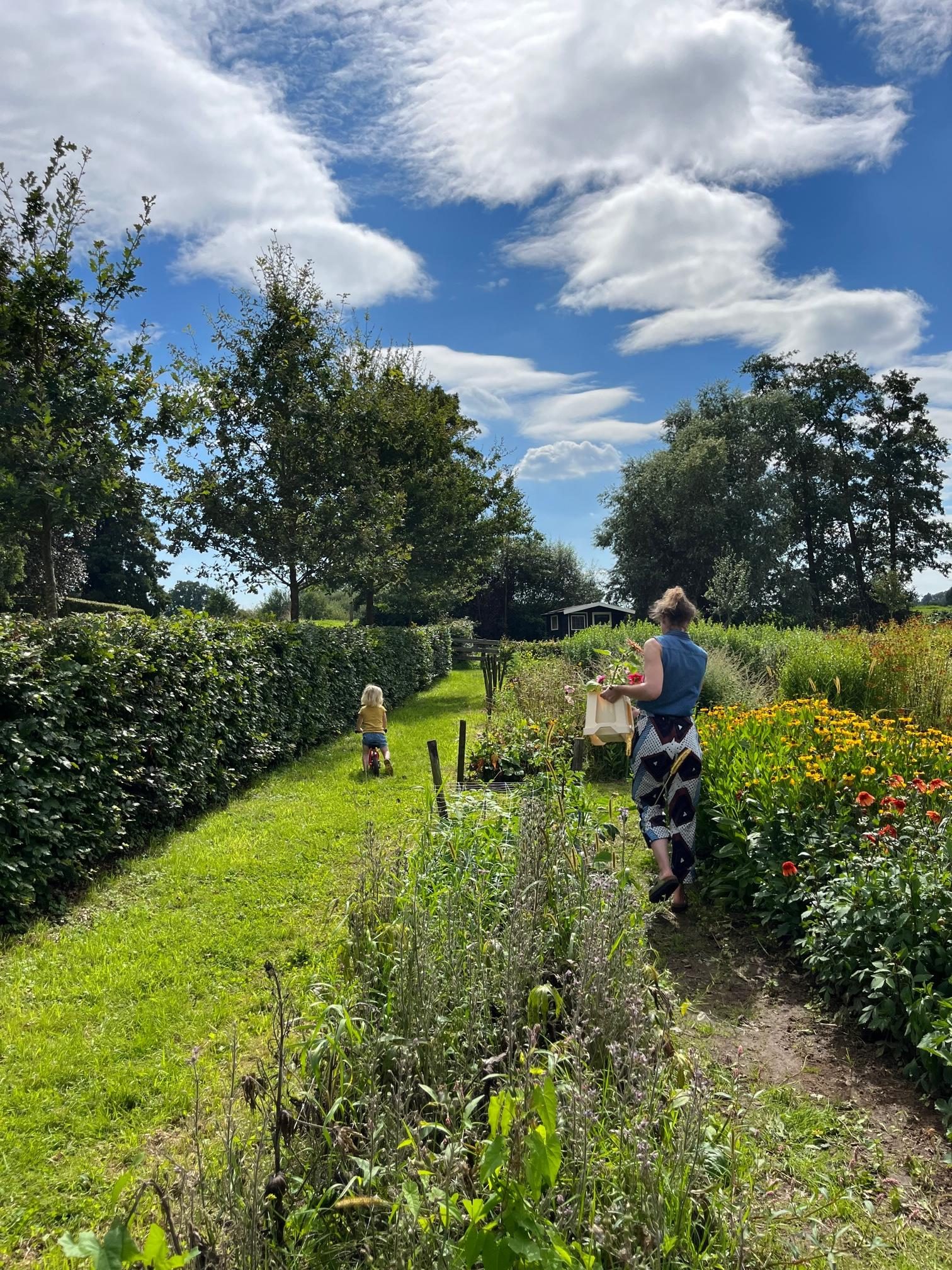 Picking gardens & fruit-picking days