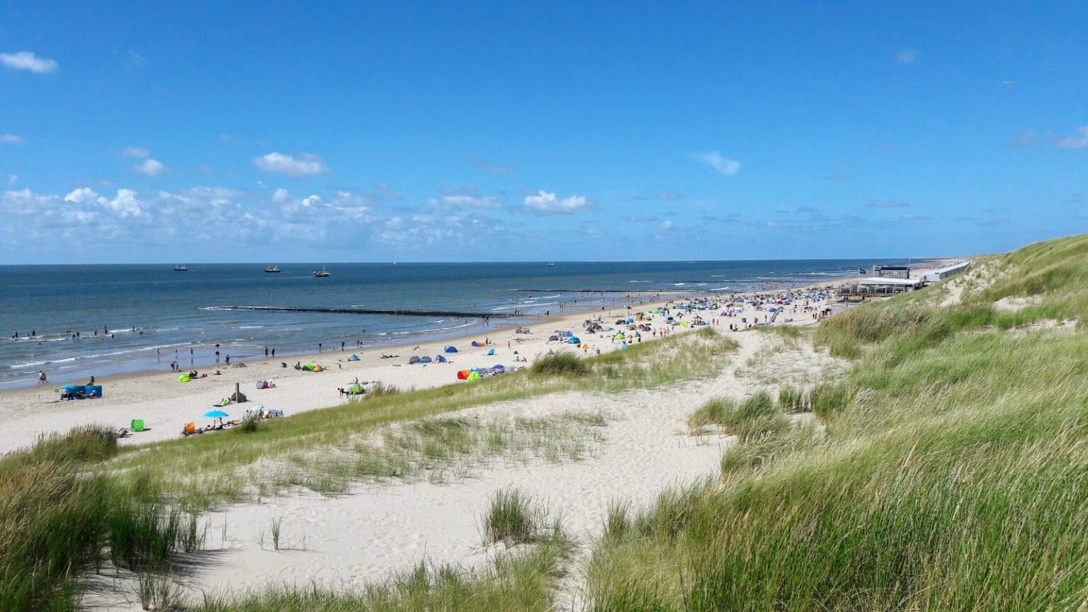 Ontdek meer