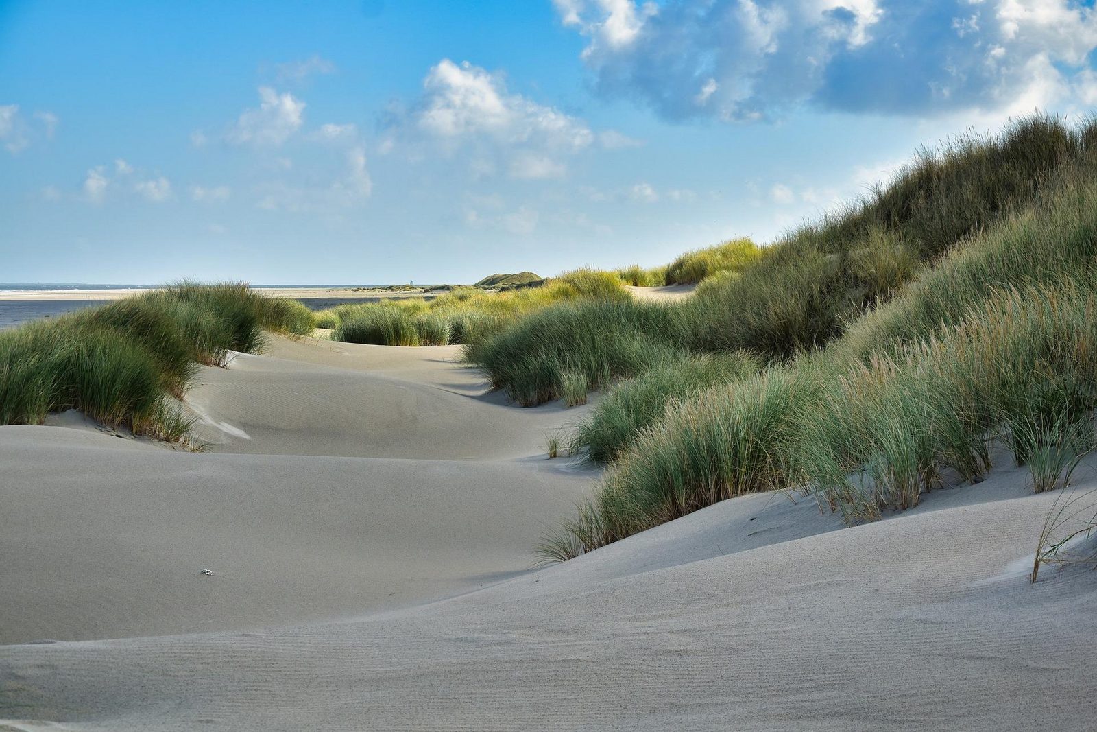 Breskens strand