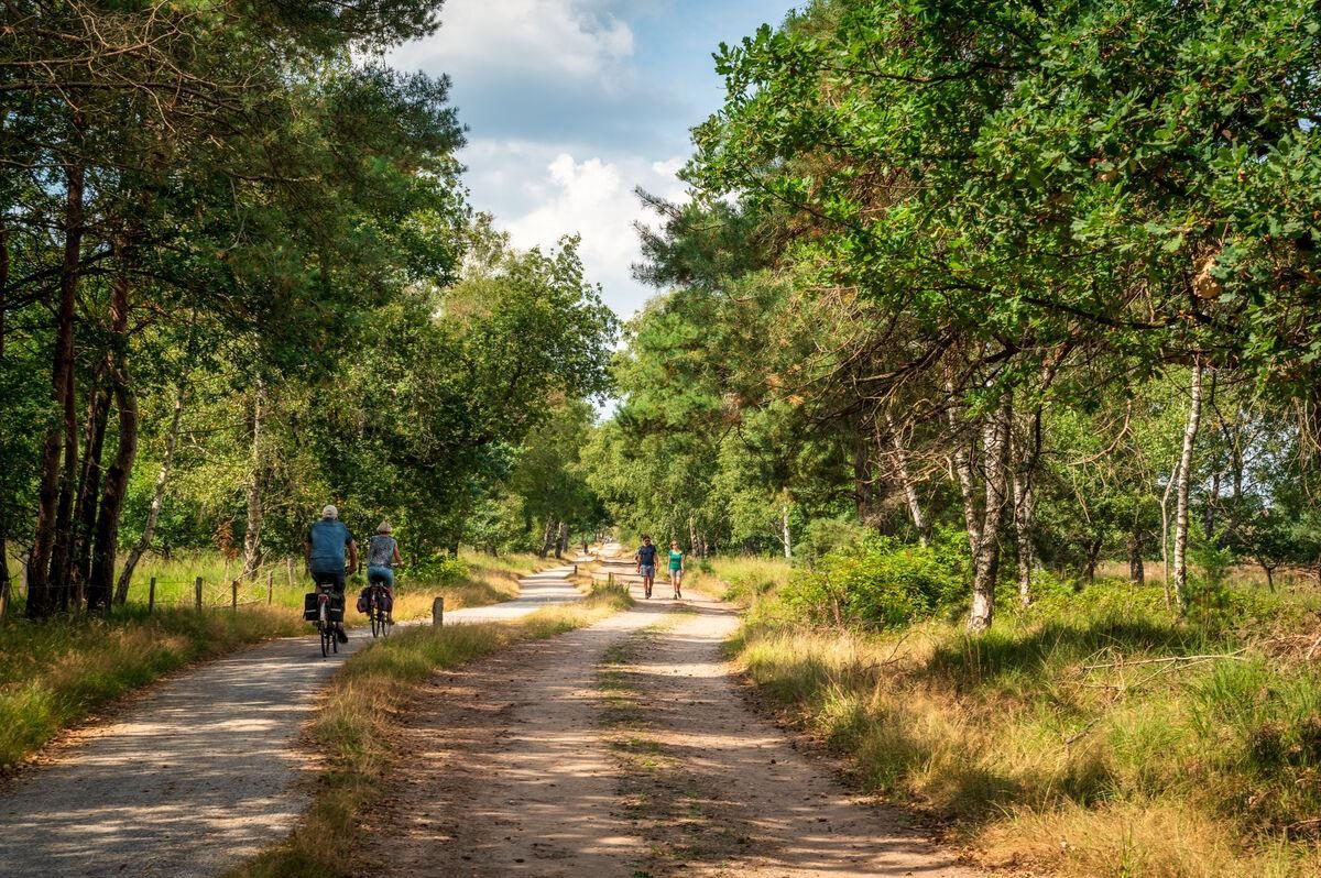 Fietsvakantie Veluwe