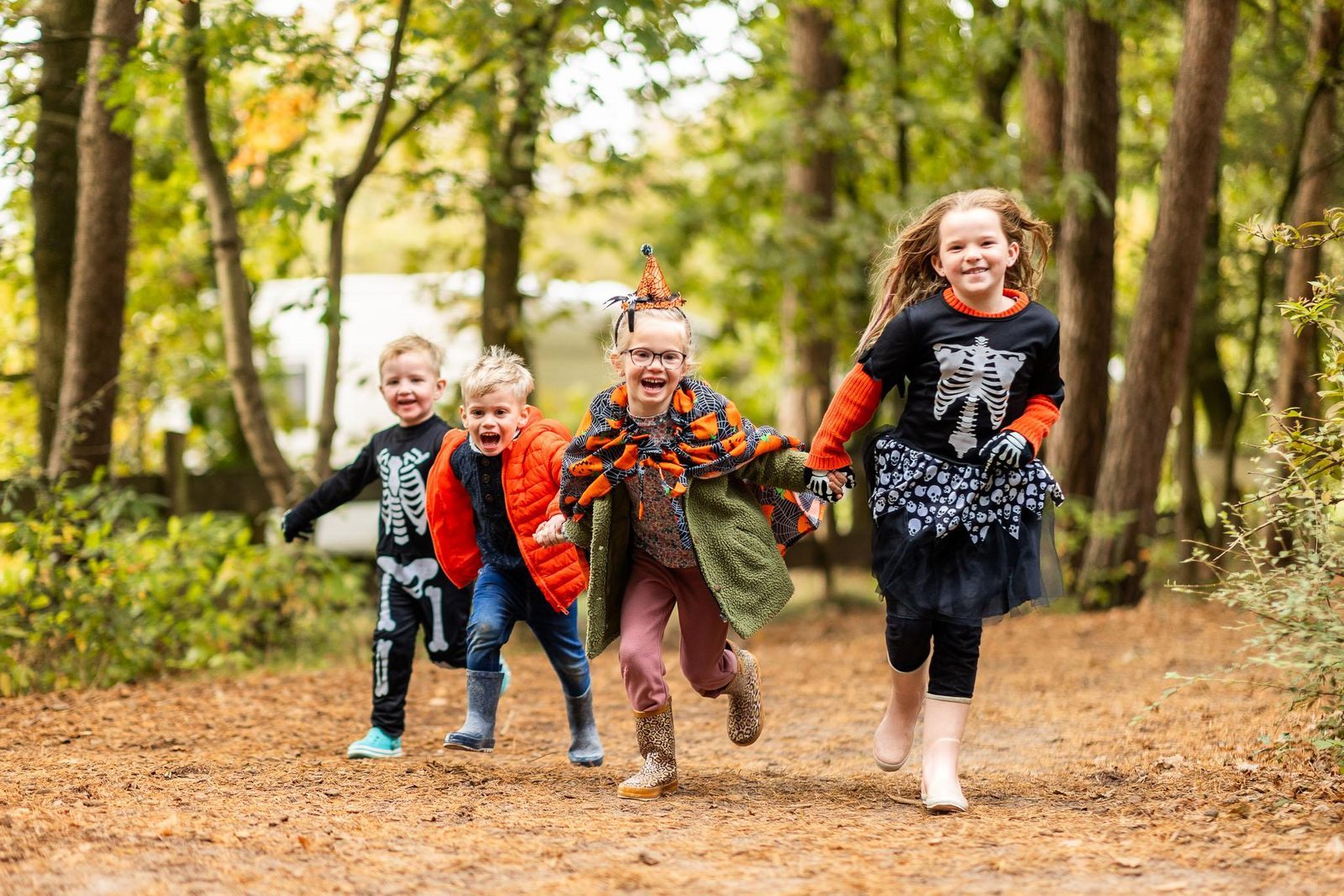 Herfstvakantie in Brabant