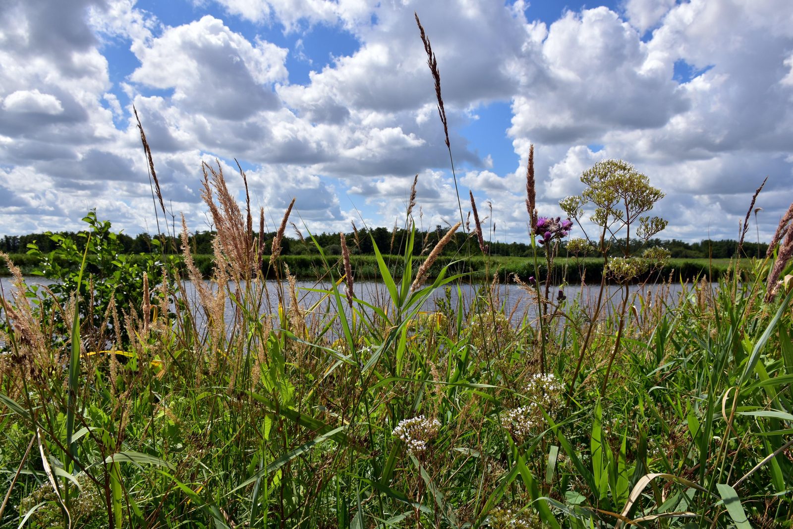 Friesland 