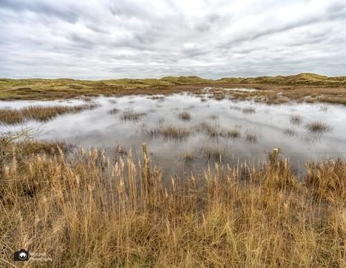 Wandelen en fietsen