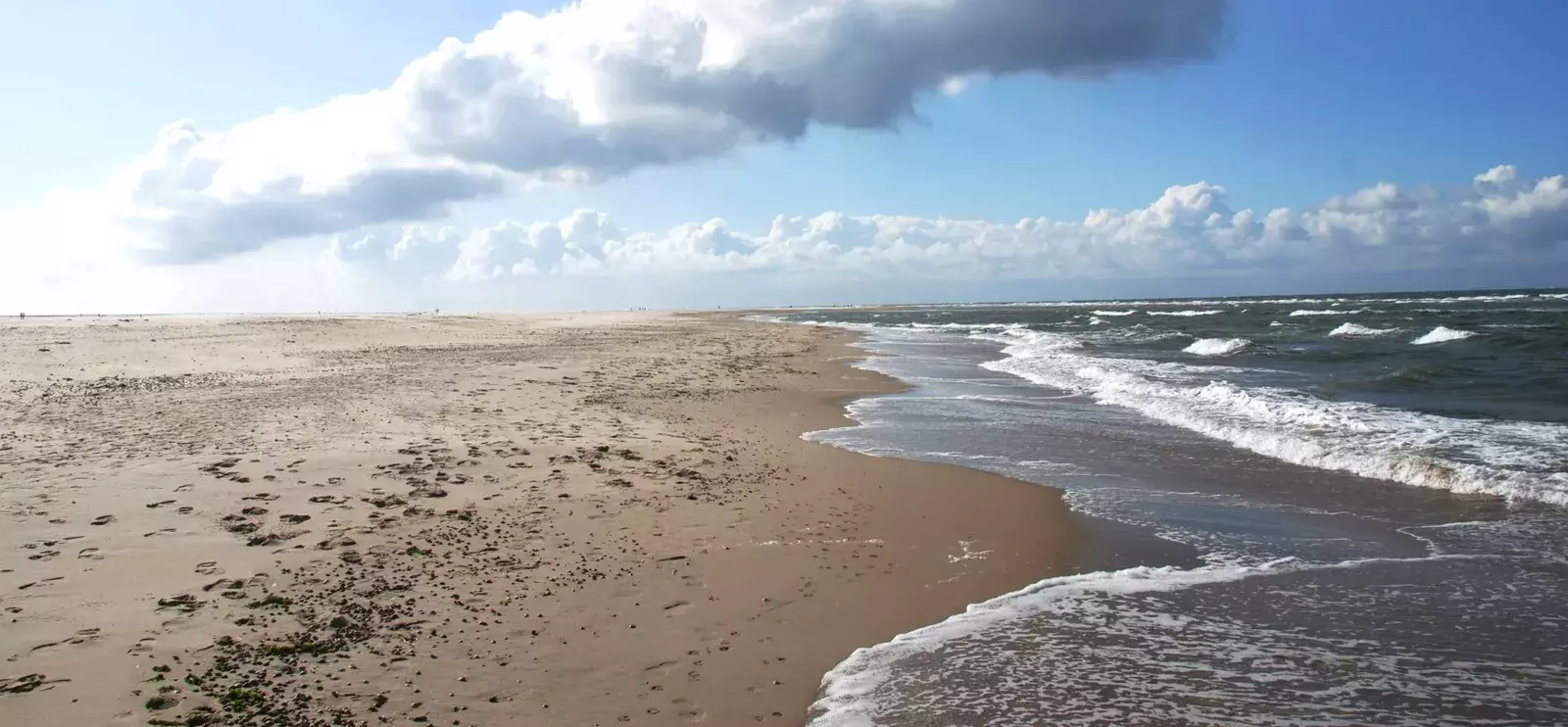 Strandpaviljoens in Callantsoog