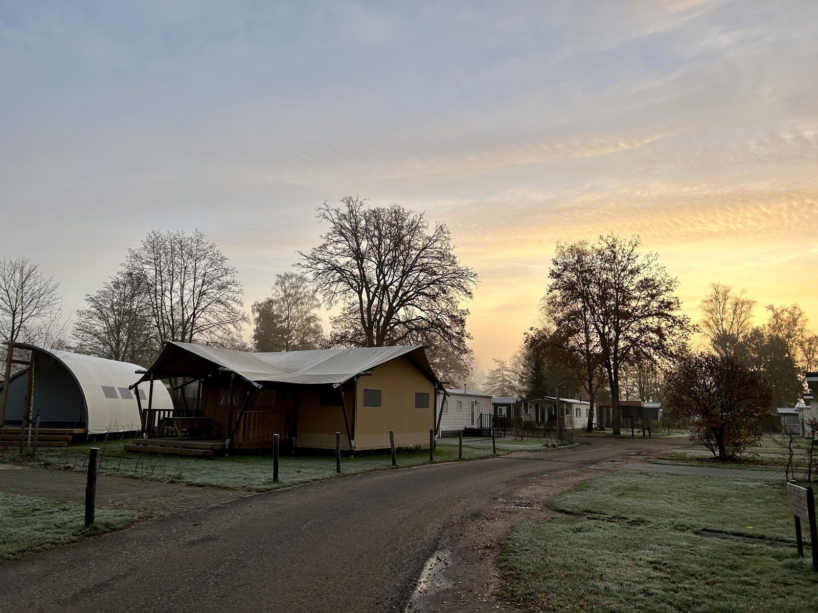 Ben jij een nachtbraker en vroege vogel?