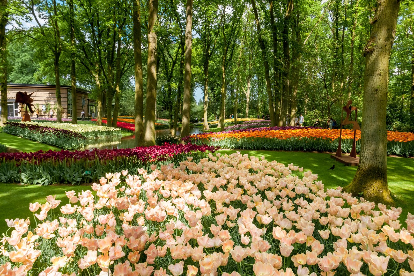 Keukenhof