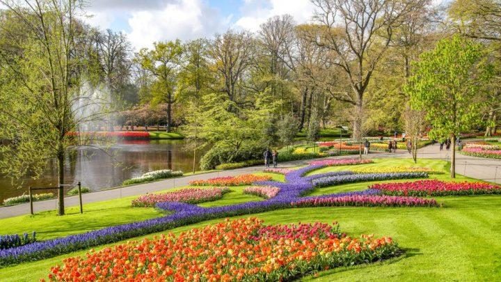 Keukenhof