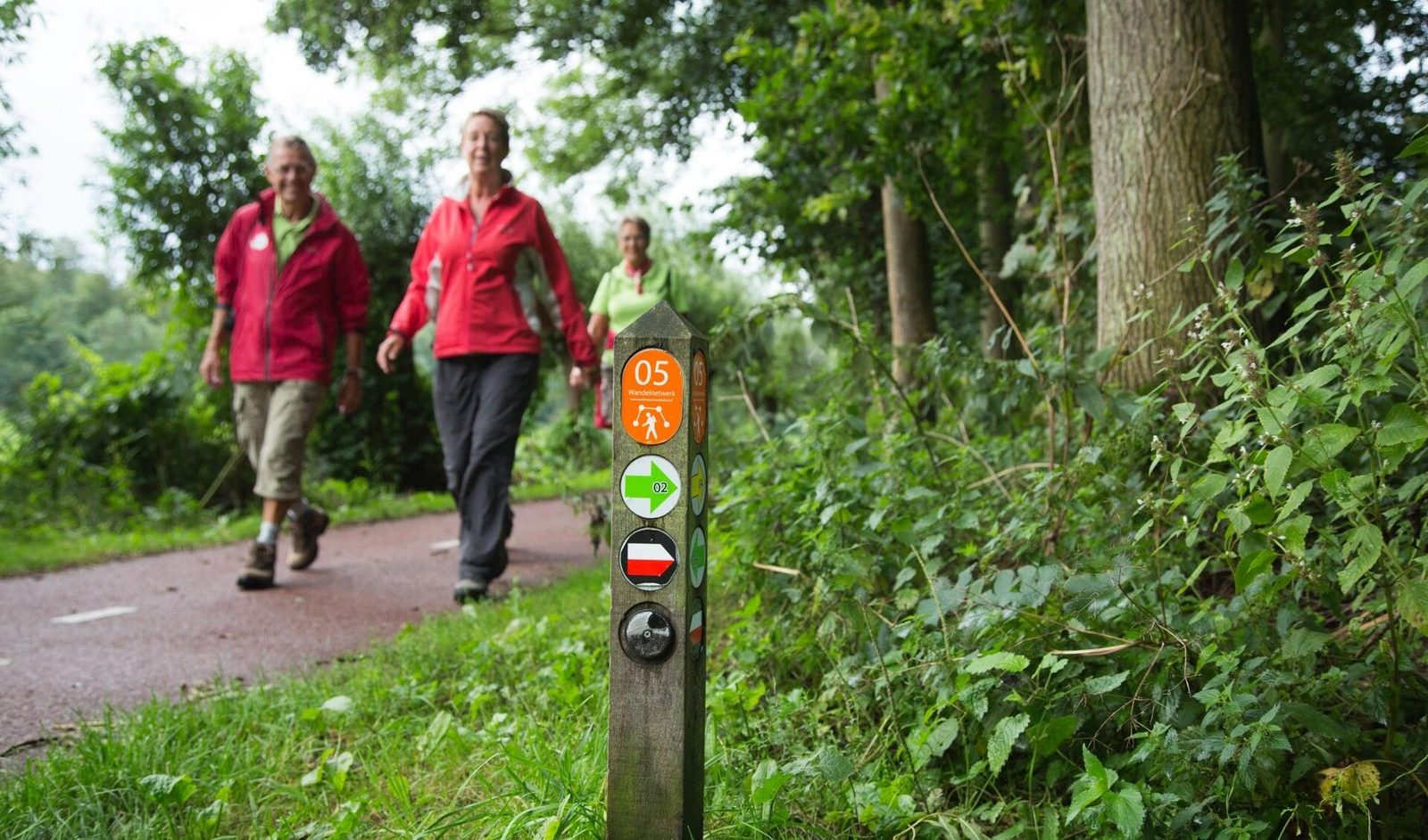 Hiking in North Holland