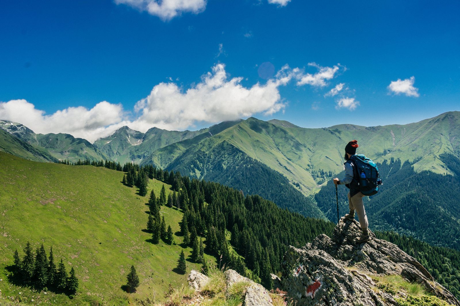 french alps