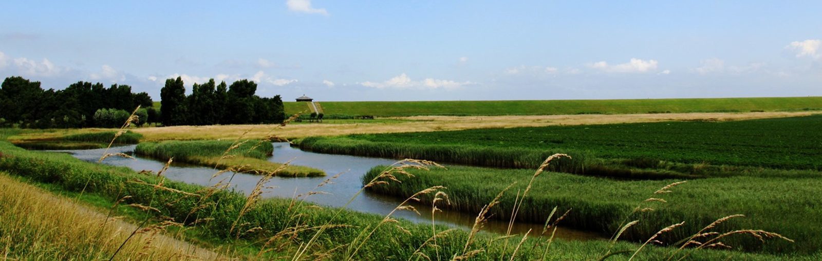 holiday homes by fishing water Zeeland