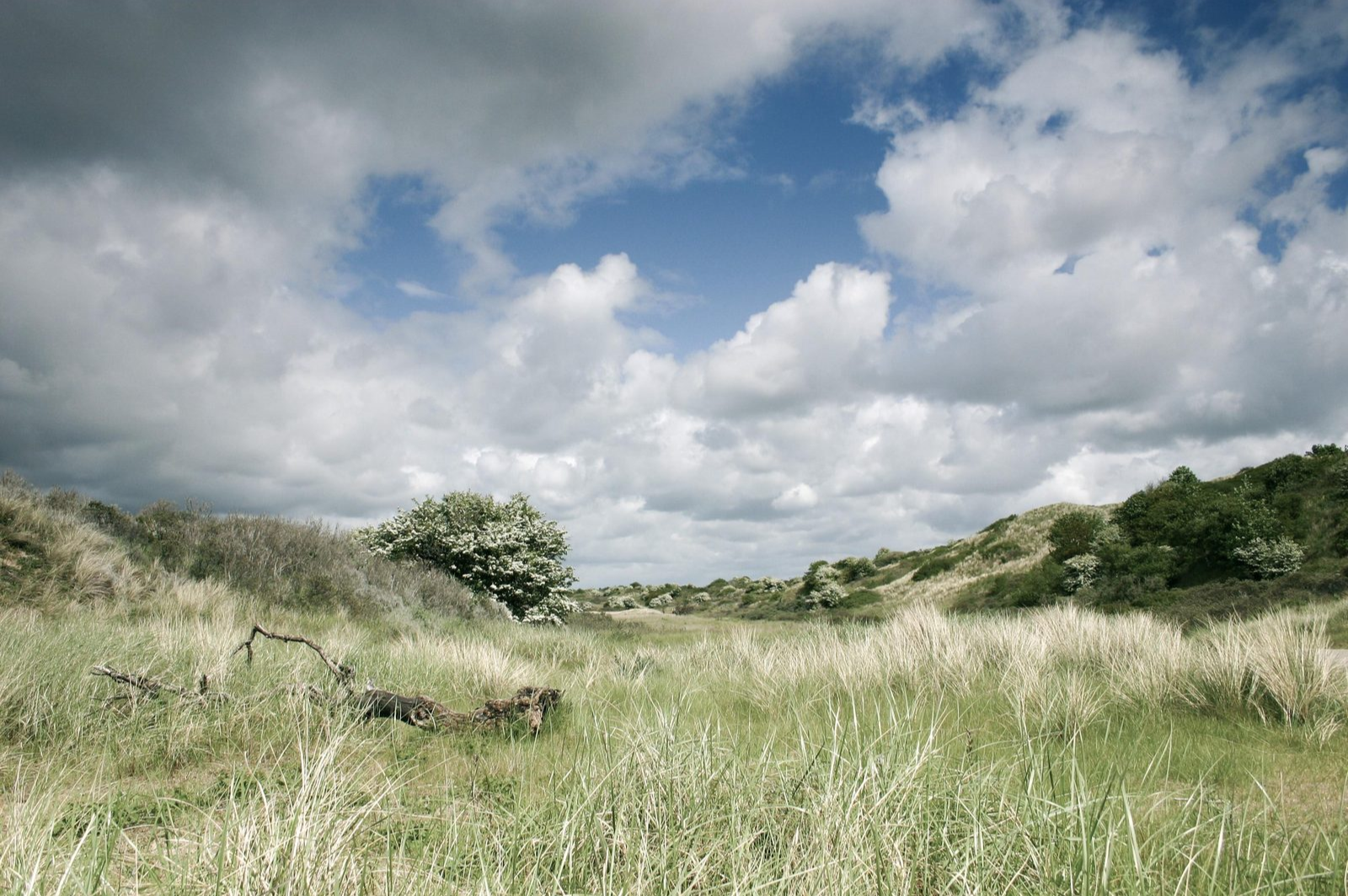 Domain De Groote Duynen